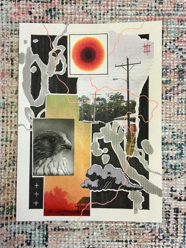 Custom Shopify Theme vs Standard Theme: A Decision Framework for Growing Brands