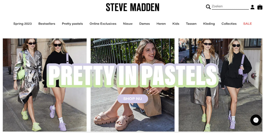Steve Madden 10 Shopify Successful Stores